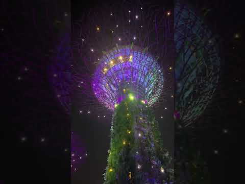 Gardens by the bay light show!