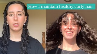 The BEST Curly Hair Tips that Changed my Hair Health