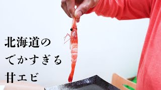 でかすぎる甘エビ……！北海道の高級な海産物を激安で買えるって本当？尼崎のケンちゃん水産の代表にきいてみた。