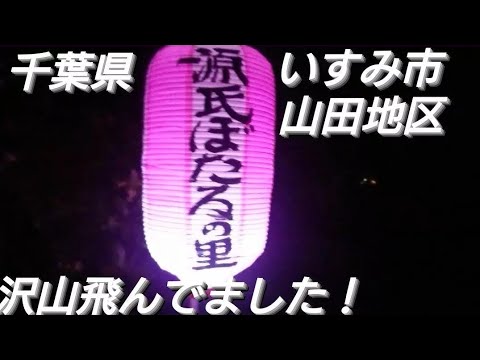 ゲンジボタル２０２４年５月下旬！千葉県いすみ市山田地区 源氏ボタルの里！沢山ホタルが飛んでました❤️良かったらチャンネル登録よろしくお願いいたします🙇