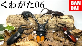 【ヤバすぎ】最新のクワガタガチャが最高すぎる...[BANDAIいきもの大図鑑くわがた06]