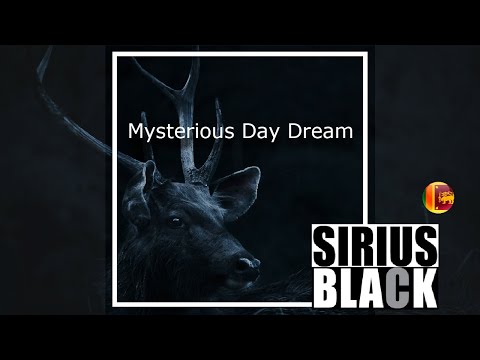 Mysterious day dream | Sirius Black SL