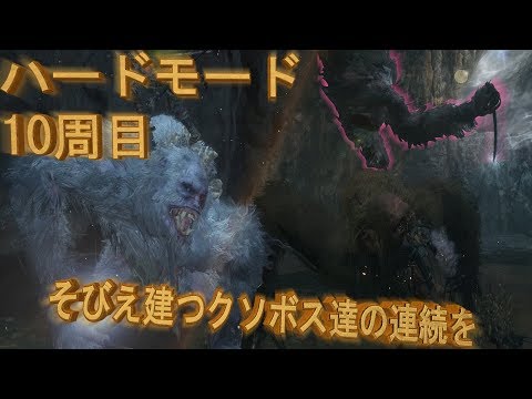 10周目ハード:獅子猿と地獄の2頭討伐クエスト【SEKIRO: SHADOWS DIE TWICE】