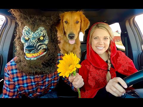 Wolf Surprises Little Red Riding Hood & Puppy with Car Ride Chase!