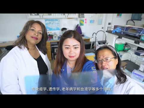 What to Expect at UCLA Health - Simplified Mandarin Version