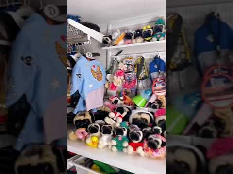 Doug The Pug’s Closet