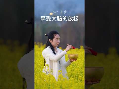 轻聆音疗，睡个好觉！#颂钵 #颂钵音疗 | 音疗 | 焦虑 | 冥想 | 健康