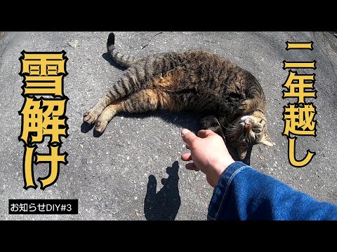 【お知らせDIY #3】苦節２年！ついに雪解け！It took me two years to finally touch a cat！／貯めた小遣い100万円で築41年190坪土地付き別荘買った