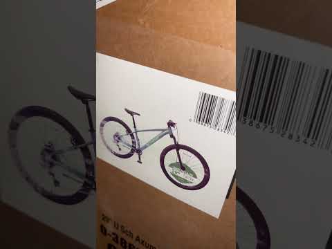 2024 Schwinn Axum Bikes