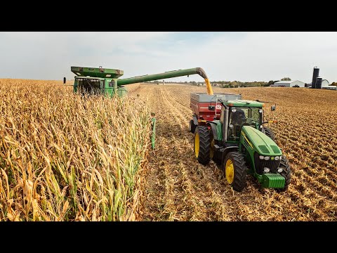 Starting Corn Harvest