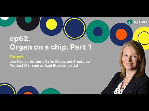 Discovery Matters |  Ep62. Organ on a chip: Part 1