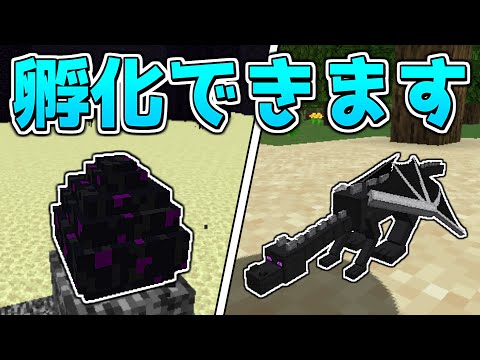 【茶番総集編】実はドラゴンの卵は孵化できます...！？【ゆっくり実況】【Minecraft】#しなもん