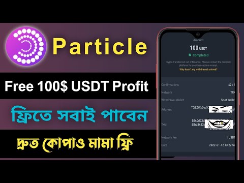 FREE 100$ USDT Confirmed | Particle Network Testnet 2nd Round | mobile diye taka income bangla |