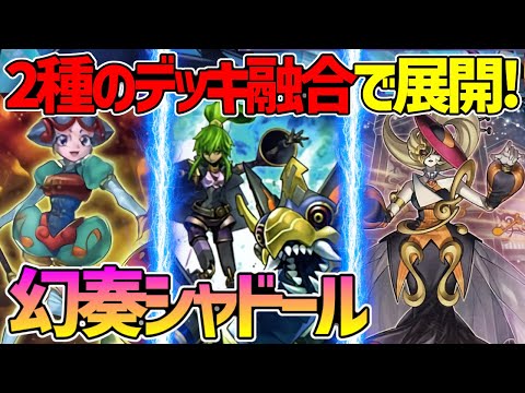 【#遊戯王】デッキ融合強すぎる！影の立役者タムタム！『幻奏シャドール』対戦動画！【#デュエダン】