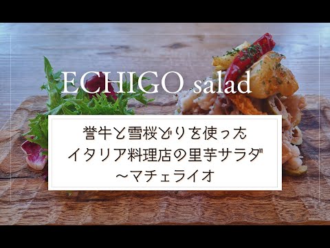 【2024エチゴサラダ】誉牛と雪桜どりを使ったイタリア料理店の里芋サラダ～マチェライオ