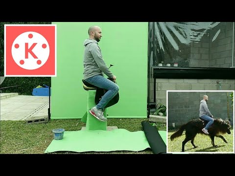 Giant Dog Green screen in Kinemaster