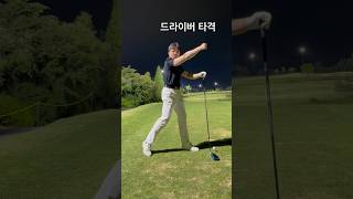 타격 리듬 타이밍 싱크 축 무게 도착 원심력 #golf #골프 #골프레슨 #골프스윙 #필드레슨 #ㄷ #드라이버