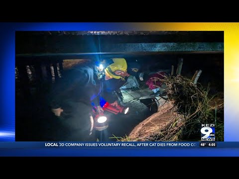 Eugene firefighters rescue people from rising flooded creek