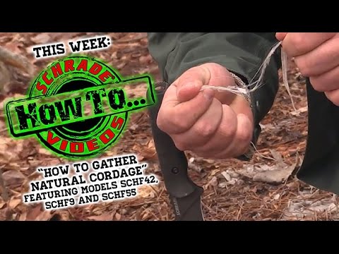 How To Gather Natural Cordage