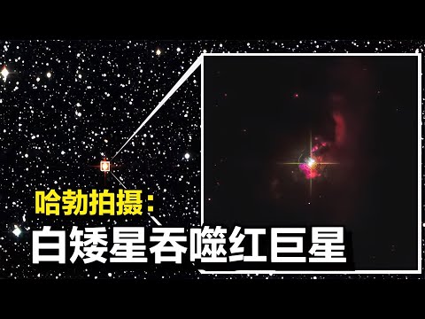 哈勃探測：3400光年外，白矮星吞噬紅巨星驚人景象！ #天文发现 #黑洞观测 #红巨星 #中子星 #太阳系结构