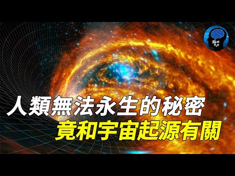 人為何不能永生？答案竟和宇宙起源有關！破解開就能長生不老了