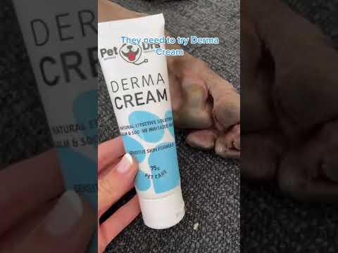 Benefits of Derma Cream and Mega Oil for dogs! #petcare #shorts #healthydog #dogs