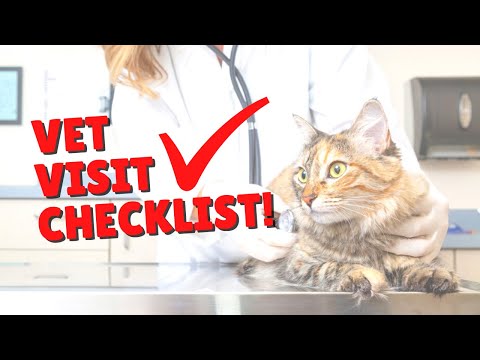 Checklist for Annual Vet Visits | Two Crazy Cat Ladies