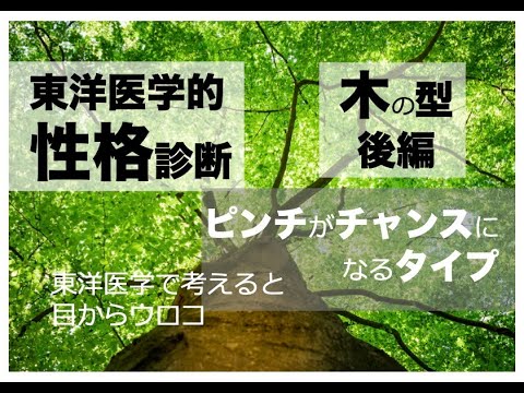 性格診断(東洋医学的):精神力ナンバーワン　木の型 後編〜東洋医学で考えると目からウロコ〜