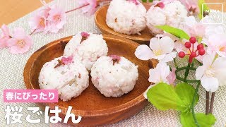 春にぴったり　桜ごはん