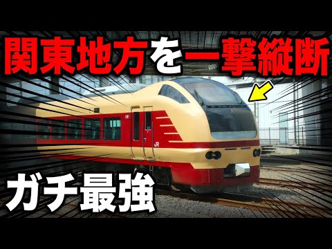 【年1回のみ】関東を一撃で縦断する''謎の特急列車''がスゴいww