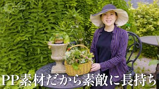 【涼しげで可愛い♡】バスケット鉢をご紹介♪【寄せ植えも】