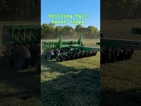 Drilling fall cover crops for grazing #shortsvideo #farming