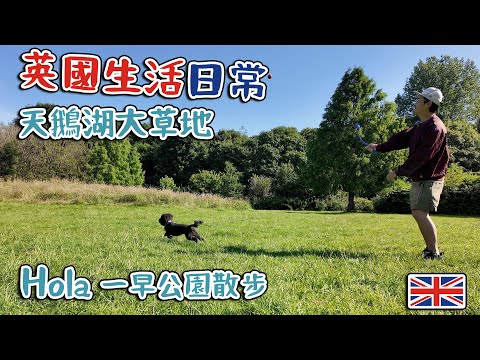 英國日常｜Hola一早公園散步｜ 天鵝湖大草地｜ Moses Gate Country Park