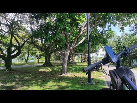 Singapore Pasir Ris Town park