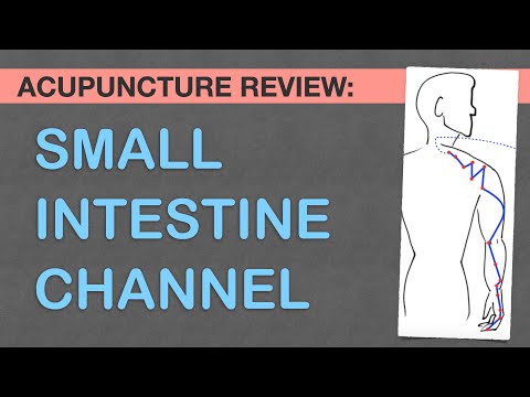 Points Review: Small Intestine Channel Acupuncture Meridian