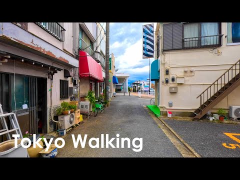 Enjoy the traditional Japanese townscape at Hakonegasaki in Tokyo