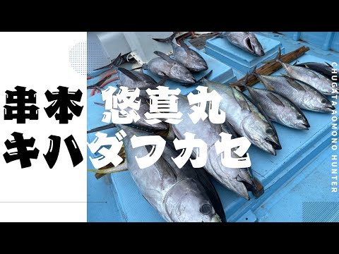 【釣行記】レンタルタックルでゆくキハダフカセ編【串本】【悠真丸】