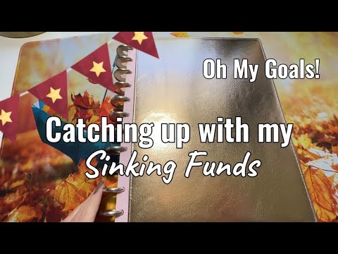 Sinking Funds Check-In: Savings Progress | Oh My Goals!