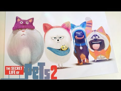 Drawing The Secret Life of Pets 2