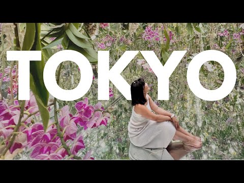 Tokyo Exploration: TeamLabs, Mori Tower, Shibuya, & Sushi Galore | Japan Part 6