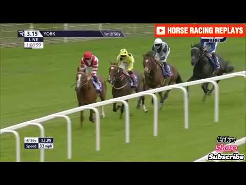 Alflaila /(G2) York Stakes York 27 Jul 2024