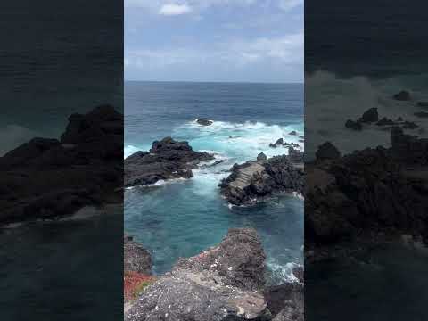 🏝️ Amaizing ocean view in Tenerife 🏝️ #tenerife #canaryislands #oceanview