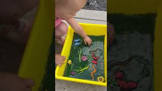 #Swamp Exploration #Sensory #Play