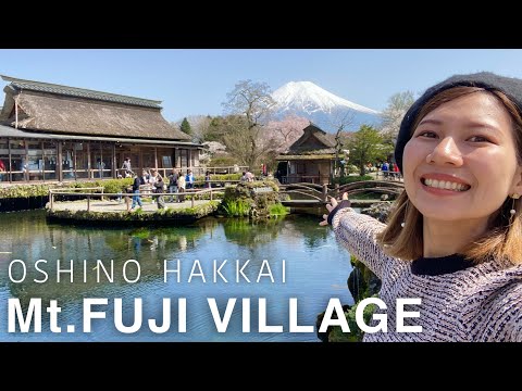 YAMANASHI🇯🇵 Oshino Hakkai & Fujiyoshida🗻 Mt.Fuji with Sakura (cherry blossoms)🌸 Japan vlog