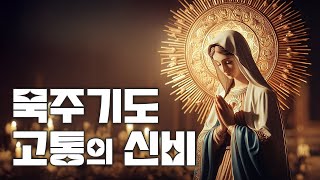 묵주기도 고통의 신비 5단 ㅣ화요일 금요일ㅣ예수님의 희생과 사랑 묵상