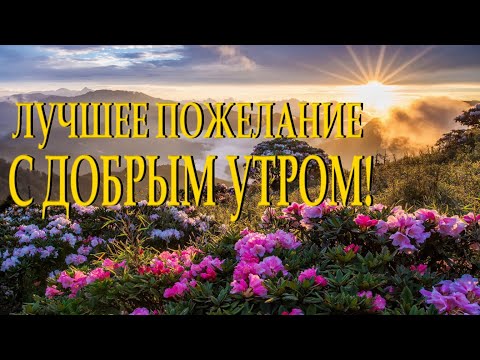 "А может просто встать с другой ноги" Наталья Гондарь (С добрым утром) Читает Леонид Юдин