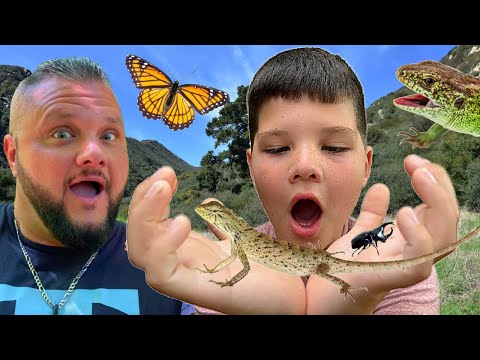 BUG HUNT With Caleb & Dad! First Time HIKING in California, Finding Baby LIZARDS Park Adventure!