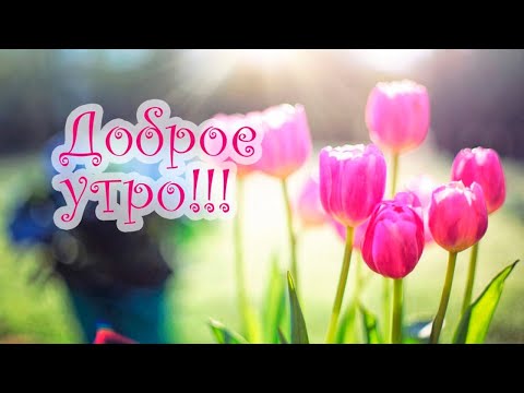 ☀️ С ДОБРЫМ УТРОМ! ПРЕКРАСНОГО ДНЯ!!! ☀️