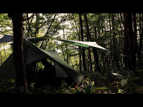 A quiet camp in the woods with tarp tent Stratospire2,hilleberg tarp10ul