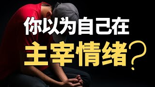 情绪有毒，但不是你的错！解决情绪问题，先要满足“生理需要”！